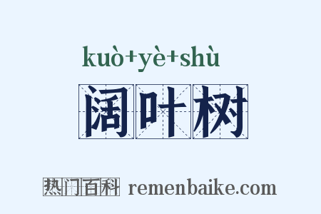 阔叶树是什么意思的图片